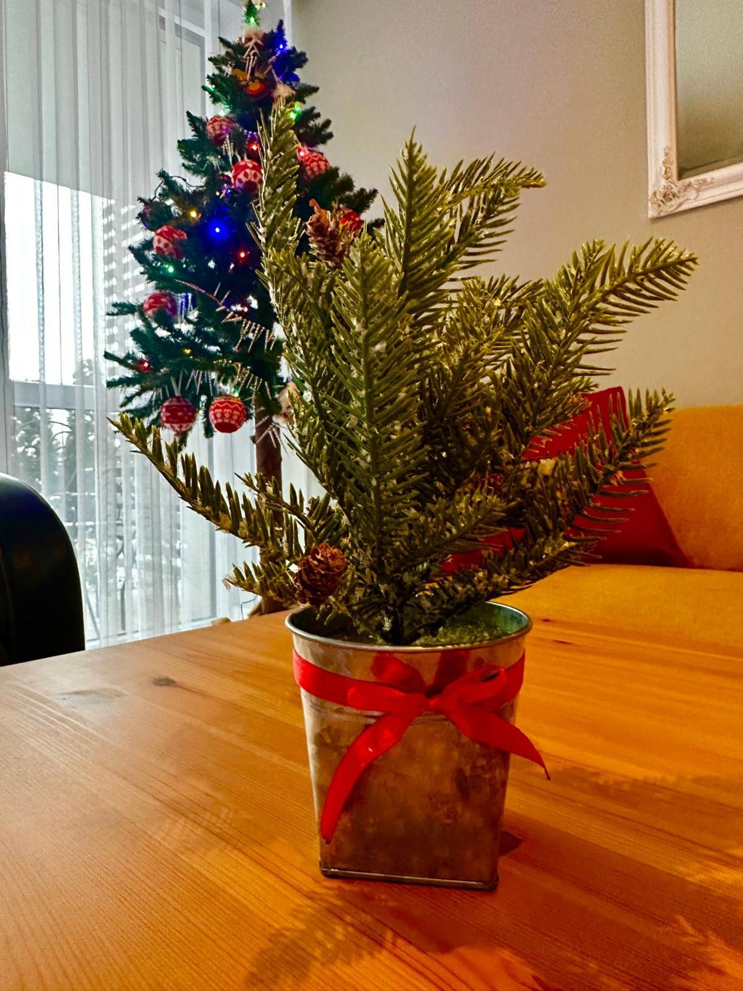 ביילסקו-ביאלה Apartament Z Widokiem Na Szyndzielnie מראה חיצוני תמונה